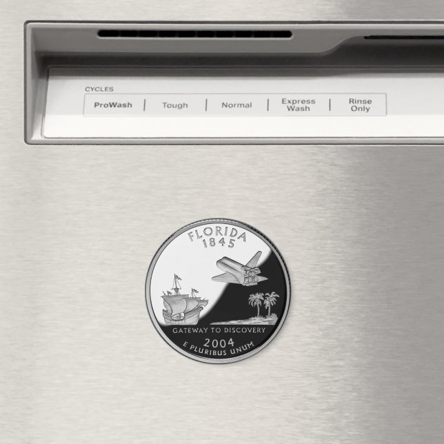 Imán Faux Florida State Quarter (In situ (lavavajillas))