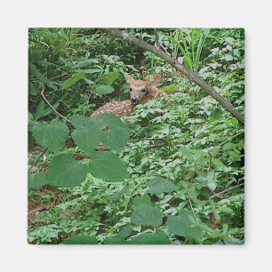 Imán FAWN en hojas verdes del corazón —