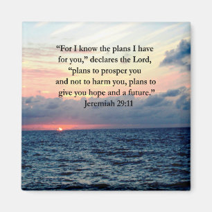 IMÁN FE EN JEREMIAH 29:11 SUNRISE VERSE