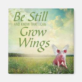 Imán Fe En Los Cerdos