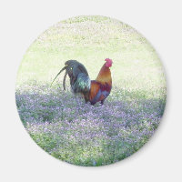 Feathered Pride Magnet