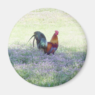 Imán Feathered Pride Magnet