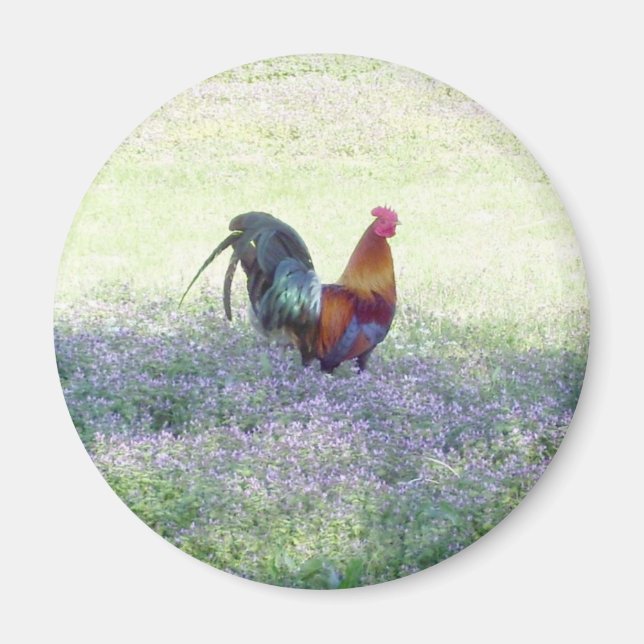 Imán Feathered Pride Magnet (Frente)