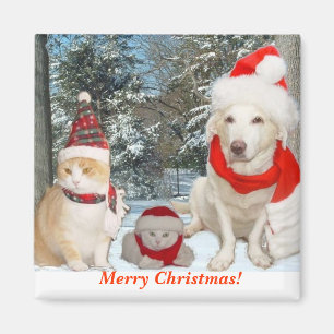 Imán ¡Felices Navidad!