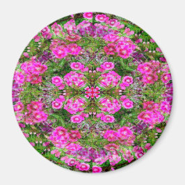 Imán Felicidad.....