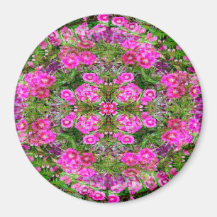 Imán Felicidad.....