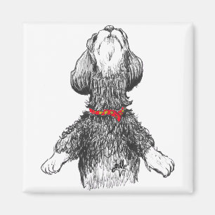 Imán ¡Felicidad de Havanese - perrito del baile!
