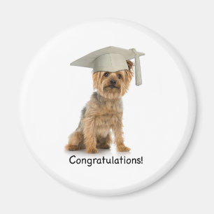 Imán Felicitaciones a Yorkie de Graduación