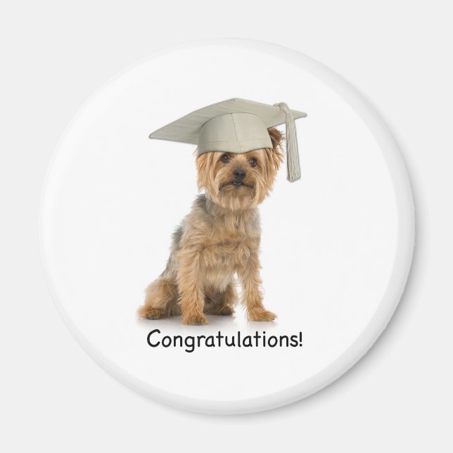 Imán Felicitaciones a Yorkie de Graduación (Frente)