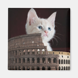 Imán felinos romanos