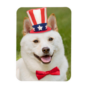 Imán Feliz 4 de julio, Perro chiíba inu en Gorra
