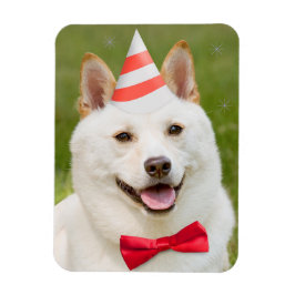 Imán Feliz Cumpleaños A Cualquiera Que Sea Perro Shiba 