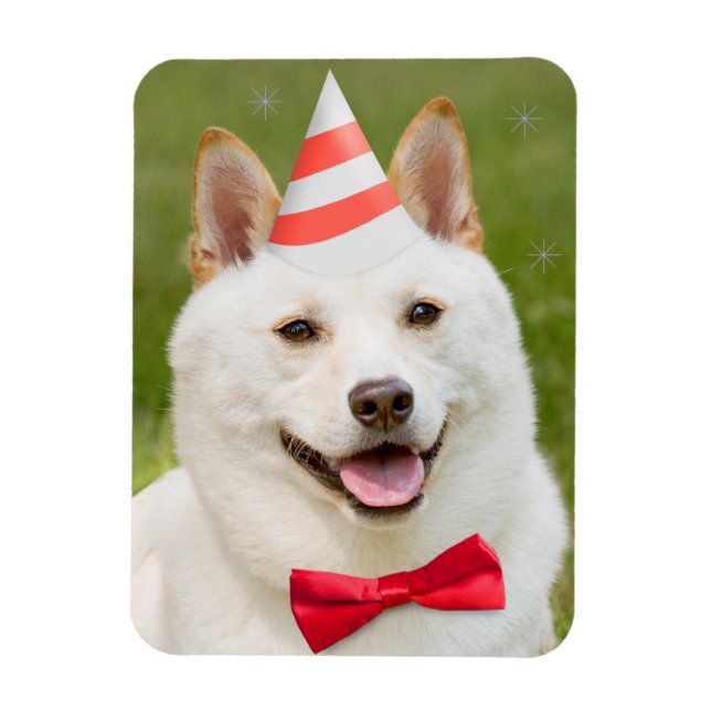 Imán Feliz Cumpleaños A Cualquiera Que Sea Perro Shiba  (Vertical)