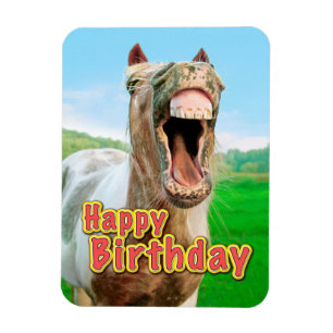 Imán Feliz cumpleaños del caballo feliz