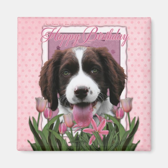 Imán Feliz cumpleaños - English Springer Spaniel - Baxt (Frente)