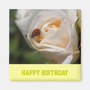 Imán Feliz cumpleaños. Hermosa rosa blanca