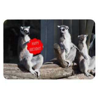 Imán Feliz cumpleaños Katta