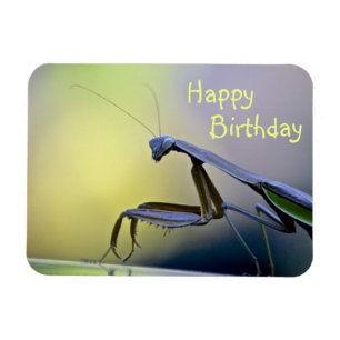 Imán Feliz cumpleaños orando a Mantis
