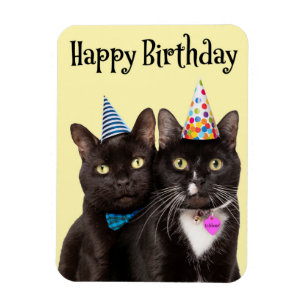Imán Feliz cumpleaños para cualquiera dos gatos en Gor