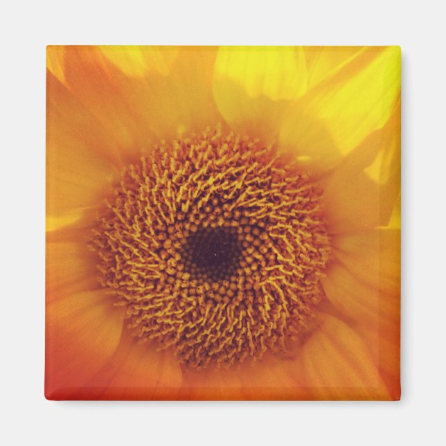 Imán feliz de flores pequeñas (Frente)