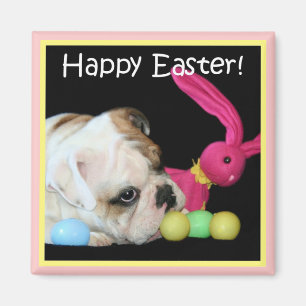 Imán feliz del bulldog de Pascua