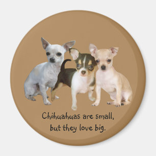 Imán feliz del trío de la chihuahua