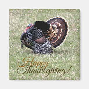 Imán Feliz Día de Acción de Gracias Wild Turkey Magnet