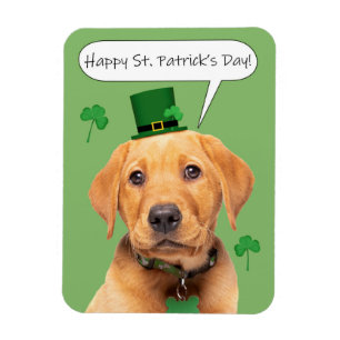 Imán Feliz Día de San Patricio, dulce papa de labrador