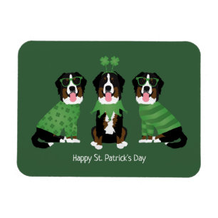 Imán Feliz Día de San Patricio Perros de Montaña de Ber