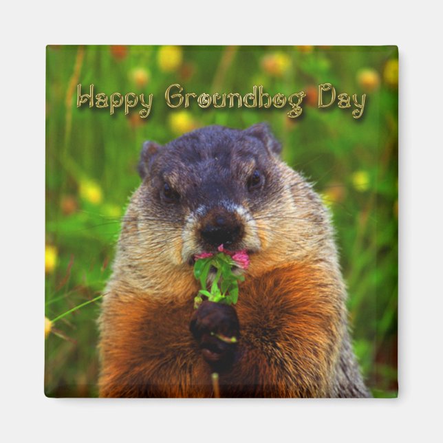 Imán Feliz Día del Groundhog Comiendo Flor (Frente)