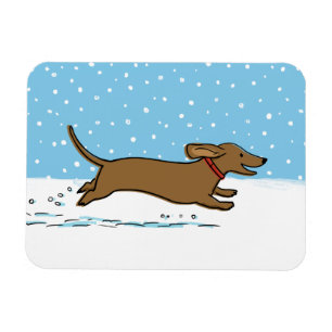 Imán Feliz Día Mundial de la Nieve en Invierno de Dachs
