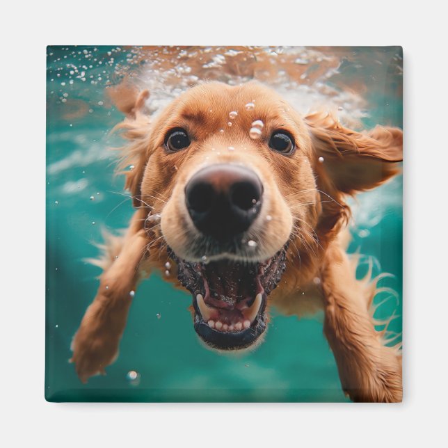 Imán Feliz Golden Retriever Nadando bajo el agua (Frente)