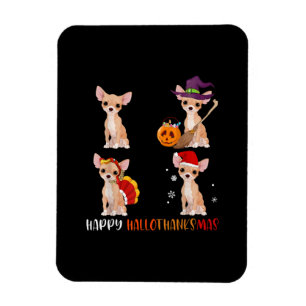 Imán Feliz Hallothanksmas linda bruja Turquía Santa