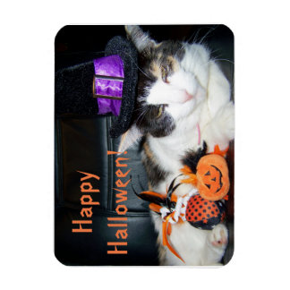 Imán Feliz Halloween Bruja Gato Tarjeta