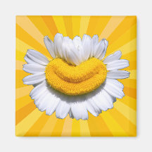 Feliz Manzanilla Dorada Sonrisa Luz Solar Aura Imá