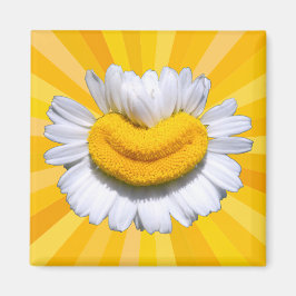 Imán Feliz Manzanilla Dorada Sonrisa Luz Solar Aura Imá