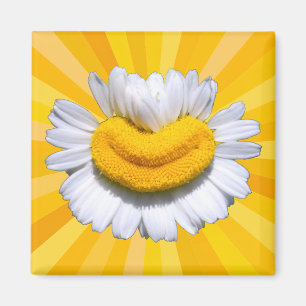 Imán Feliz Manzanilla Dorada Sonrisa Luz Solar Aura Imá