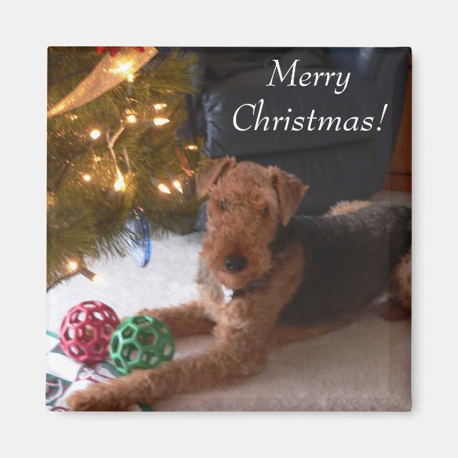 Imán ¡Feliz Navidad! (Frente)