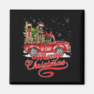 Imán Feliz Navidad Belga Malinois Santa Reindeer Re