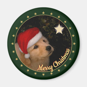 Imán "Feliz Navidad" Cachorro con Santa Hat