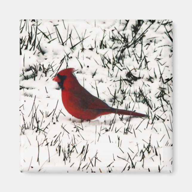 Imán Feliz Navidad Cardenal (Frente)
