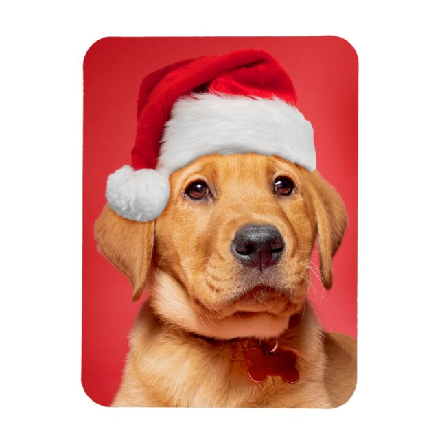 Imán Feliz Navidad, Copía de Labrador en Santa Hat (Vertical)