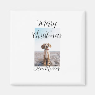 Imán Feliz Navidad mascota perro gato foto regalos de v