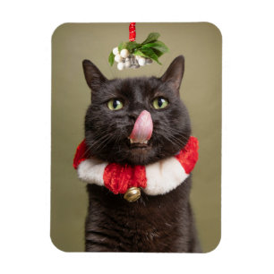 Imán Feliz Navidad Para Cualquier Gato Bajo Mistleto