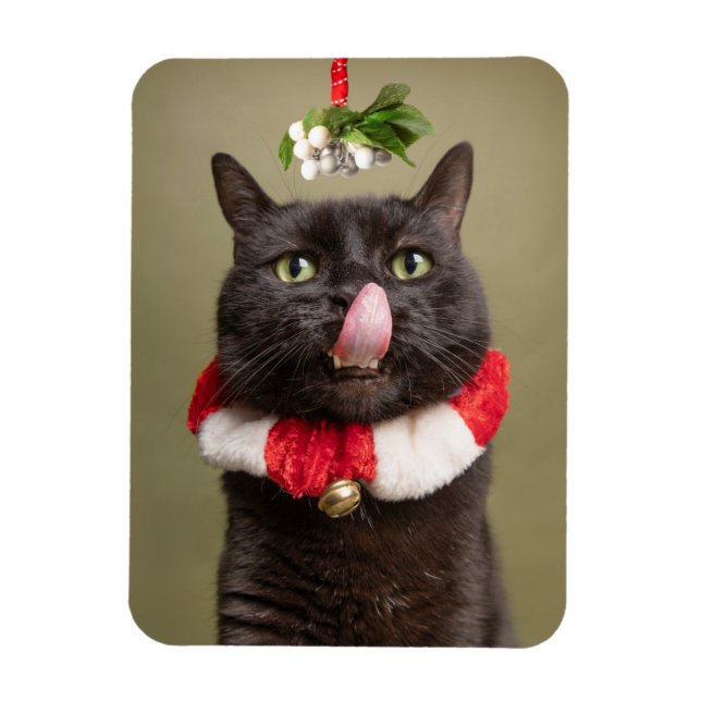 Imán Feliz Navidad Para Cualquier Gato Bajo Mistleto (Vertical)