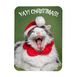 Imán Feliz Navidad para cualquiera, felino feliz en Gor