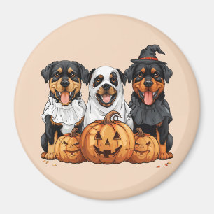Imán Feliz Rottweiler de Halloween perros Jack O Lanter