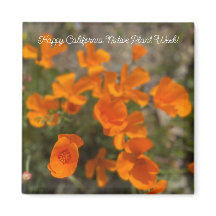 ¡Feliz Semana de Plantas Nativas de California!