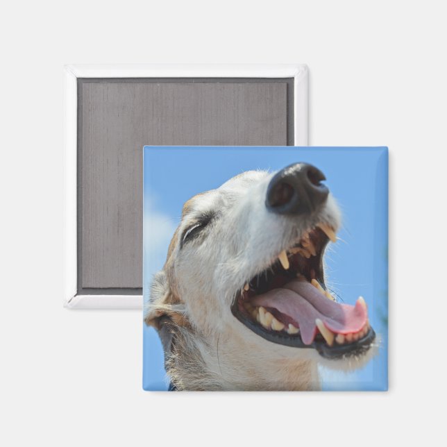 Imán Feliz sonrisa Greyhound Face Closeup (Anverso/Reverso)