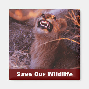 Imán Feliz Tau para salvar nuestra vida salvaje